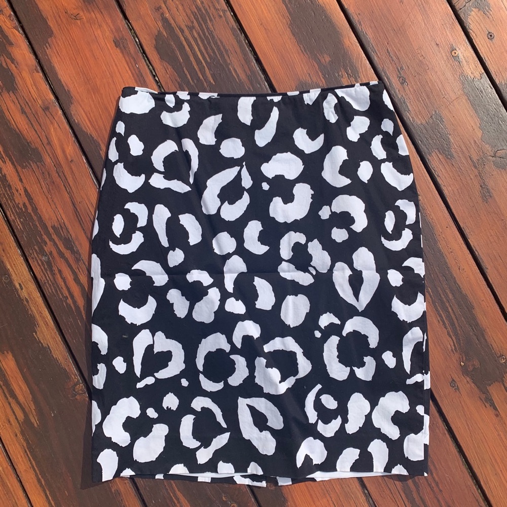 Skirt Size 4
